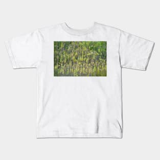 Waverly Study 02 Kids T-Shirt